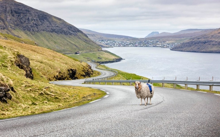 Birkák segítségével biztosítják a Google Street View szolgáltatást a Feröer-szigeteken