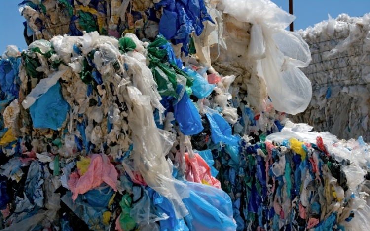 Kalifornia búcsút inthet a műanyag szatyroknak