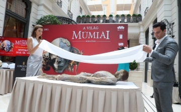Hazánkba érkezik a világ legnagyobb múmiagyűjteménye