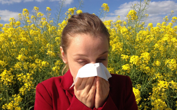A meleg idő felerősítheti az allergiás tüneteket