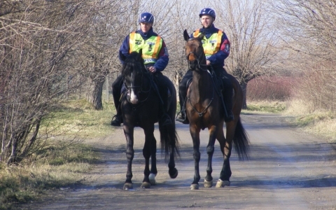 A lovasokat kutyás járőrök váltották Sopronban