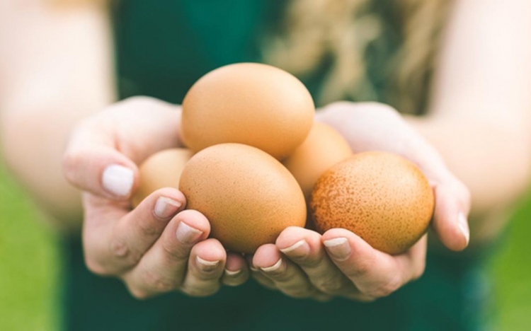 Új egészségügyi dolgot fedeztek fel a tojással kapcsolatban 