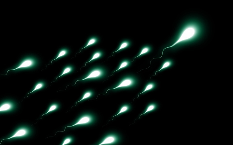 Mesterséges megtermékenyítéshez megőrizhették egy halott amerikai fiú spermáit a szülei