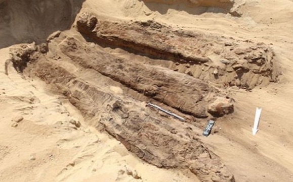 Különleges egyiptomi sírra bukkantak, képtelen hieroglifák a koporsón
