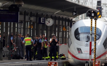Brutális gyilkosság Frankfurtban: Migráns lökött vonat elé egy 8 éves kisfiút és édesanyját, a kisfiú szörnyethalt 