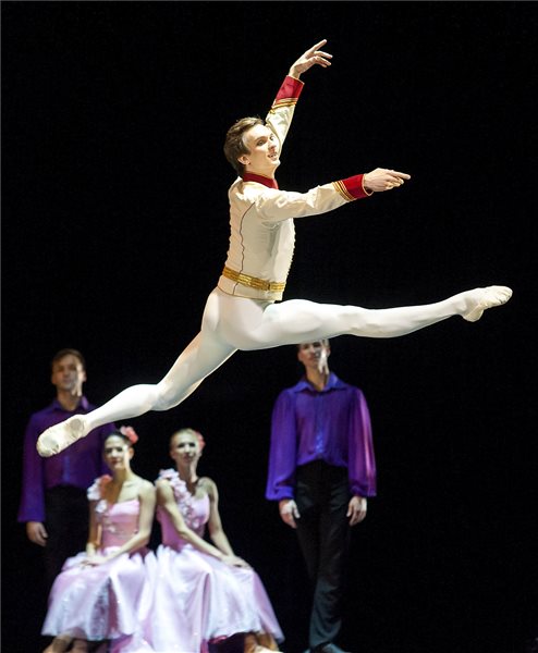 diótörő az arénákban