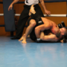 2013.02.16.Szombat Profi MMA És Box Mérkőzés Fotók:árpika