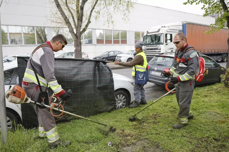Már nyírják a füvet a győri közterületeken