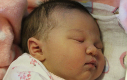 Terdik Babett Natasa 