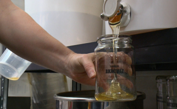 Alig lesz idén akácméz