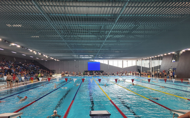 Remekelnek a győri úszók