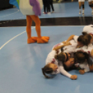 2017.07.29. EYOF 2017 Győr 6.nap Fotók:árpika