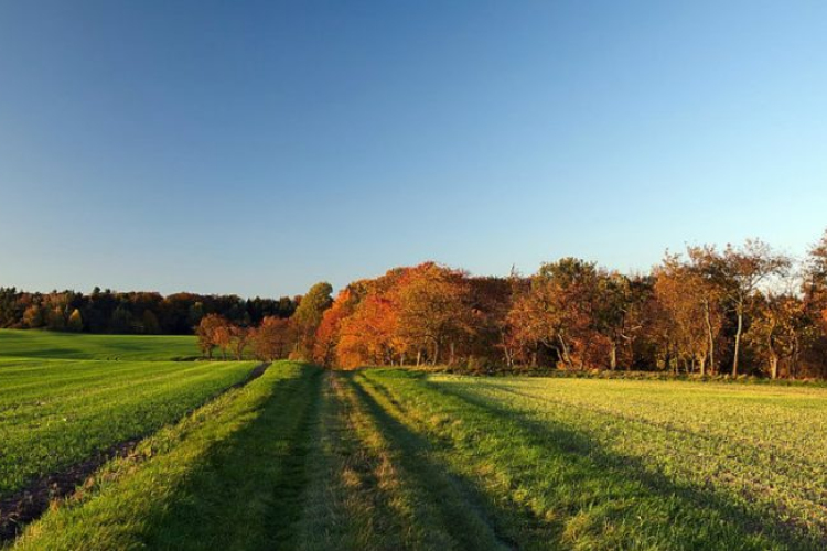 Átmeneti melegedés jön