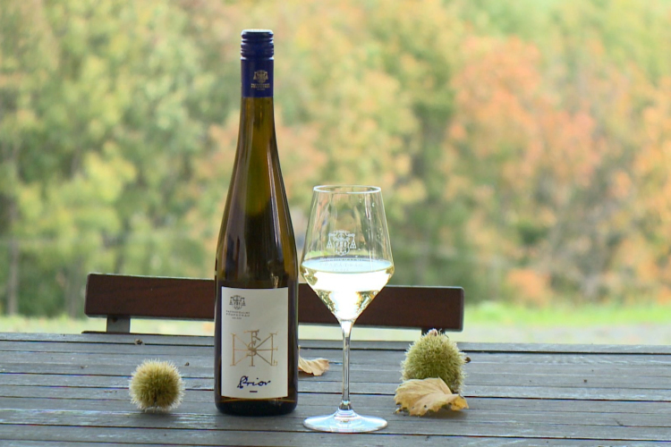 Akár Pannonhalmára is kerülhet a Vince Díj