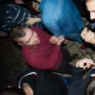 Lapos_Bulifotók_12.02.