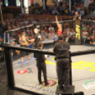 2015.05.09. Profi MMA Gála fotók:árpika