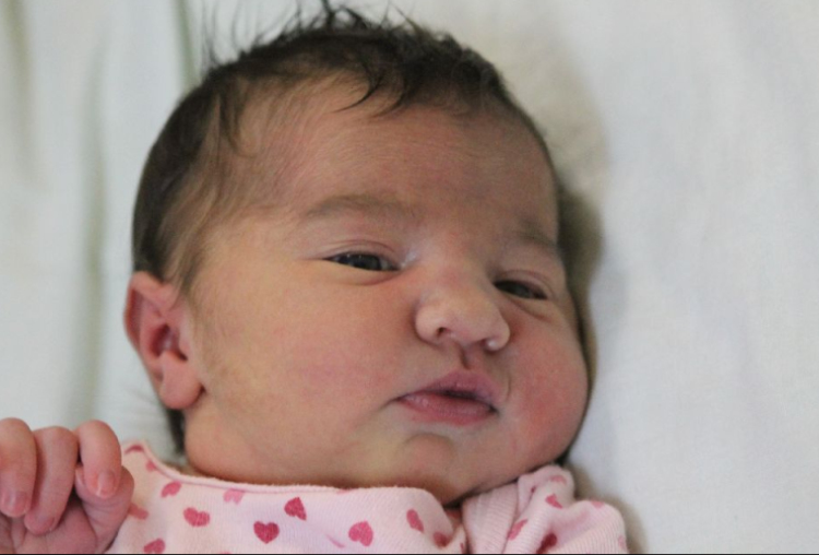 Zsolnai Léna Anasztázia 