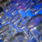 Playmate party - Club Neo