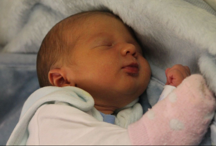 Horváth Maximilián 