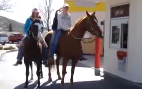 Gyorsétteremben vizelt egy ló