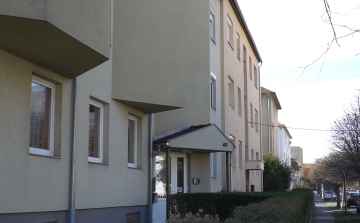 Albérlet, te drága