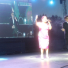 2019.08.18. Augusztus 20.-ai Fesztivál 1.nap 