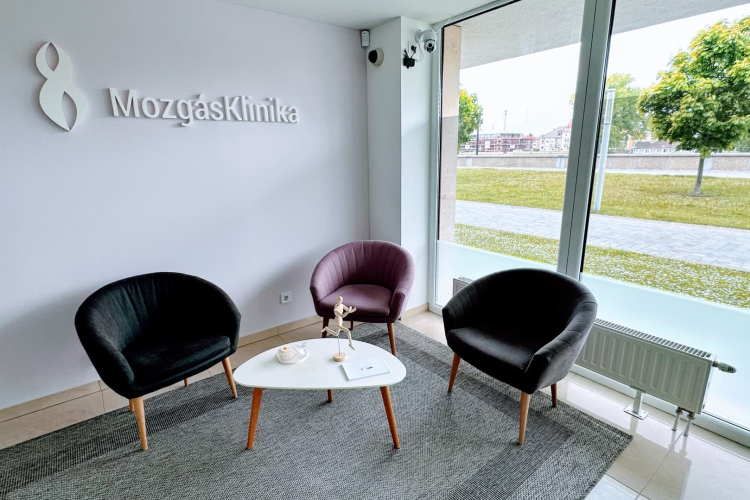 Mozgásszervi problémák kezelése Győrben