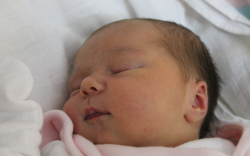 Lakatos-Holler Sára