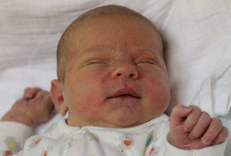 Horváth Marcell Noel