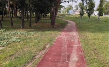 Autóval hajtottak a ménfőcsanaki futópályára, jelentős kárt okozva ezzel