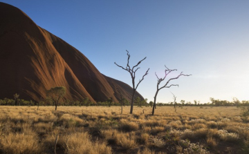 Szomjan halt egy fiatal család Ausztráliában