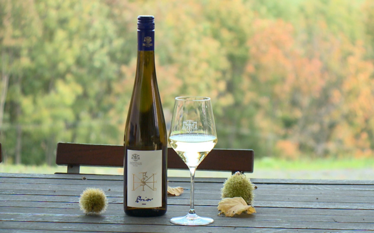 Akár Pannonhalmára is kerülhet a Vince Díj