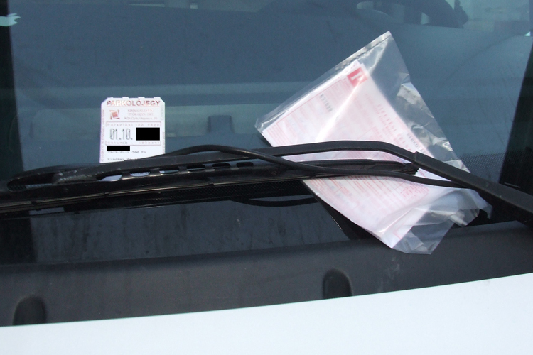 Tud a magyar, ha akar!