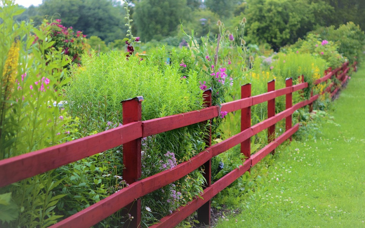 Motoros géppel permetez? Mostantól kötelező erről tájékoztatnia a szomszédokat!