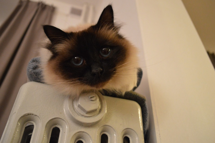 Fűtési szezon:  A baj megelőzhető