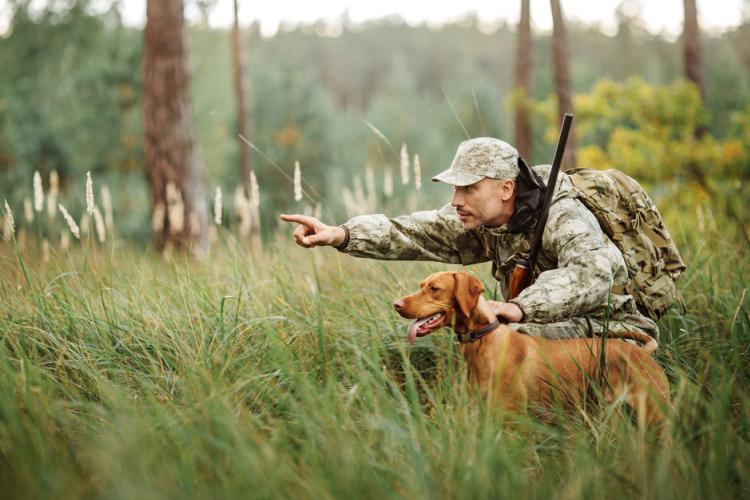 Az összepakolás titka vadászatra