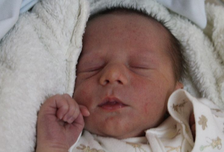 Megyesi Dániel Attila