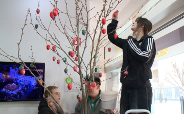 Tojásfát állítottak a győri Látogatóközpontban