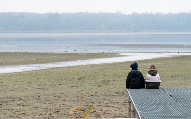 Ezrével menekültek el a vadludak a tatai Öreg-tóról szilveszterkor