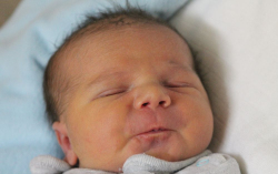 Steczina Máté Tamás 