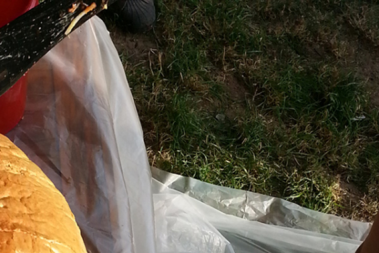 Kuckó Mackó 5. születésnap és jótékonysági evőverseny