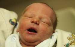 Szarvas Nándor László