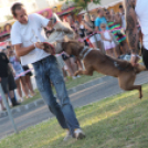 2013.06.23.Vasárnap SzFeszt 4.nap Fotók.árpika