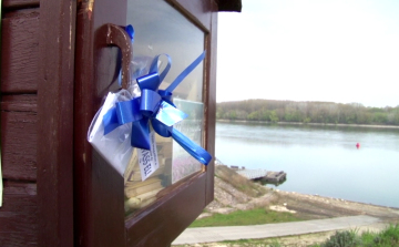 Masnis verscsomagok Gönyűn