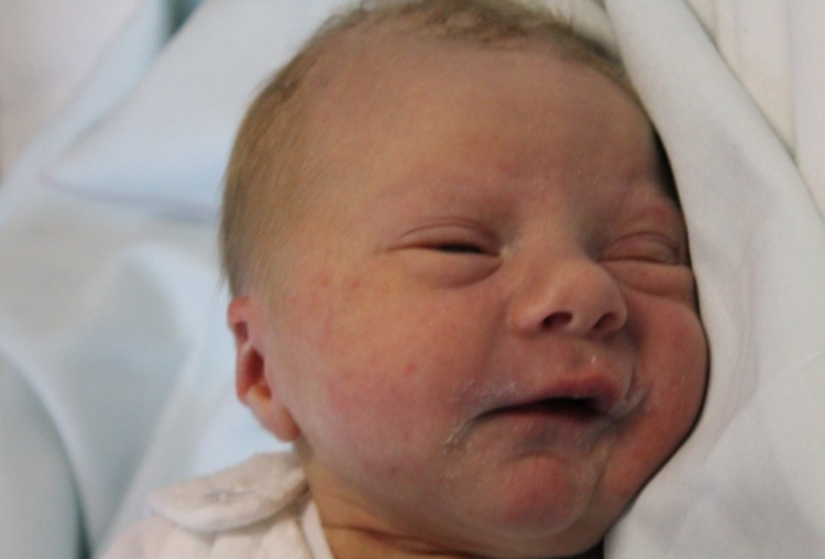 Halász Máté Ádám