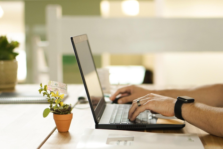 Már elérhetők az adóbevallási tervezetek