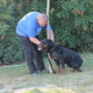 2013.06.23.Vasárnap SzFeszt 4.nap Fotók.árpika