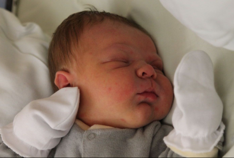 Komlós-Plósz Róbert