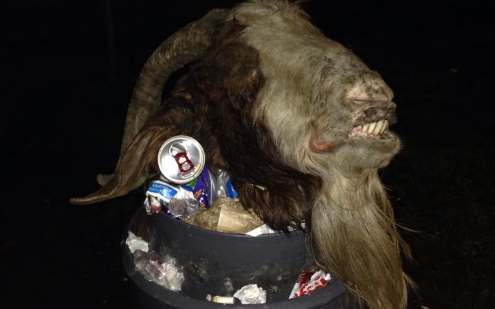 Döbbenet! Kecskefej egy győri szemetesben