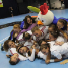 2017.07.29. EYOF 2017 Győr 6.nap Fotók:árpika